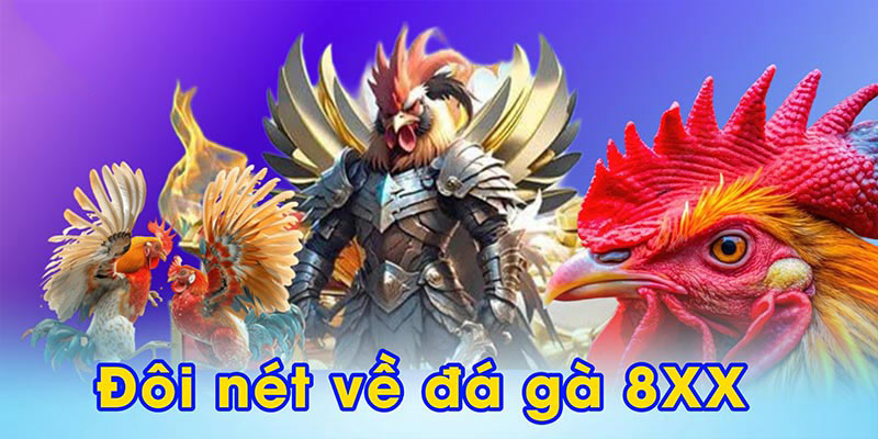 Đôi nét về đá gà 8XX